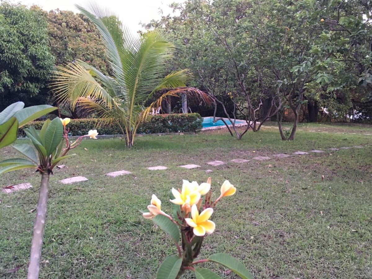 Villa Native House With Beautiful Pool Bagac Exterior foto